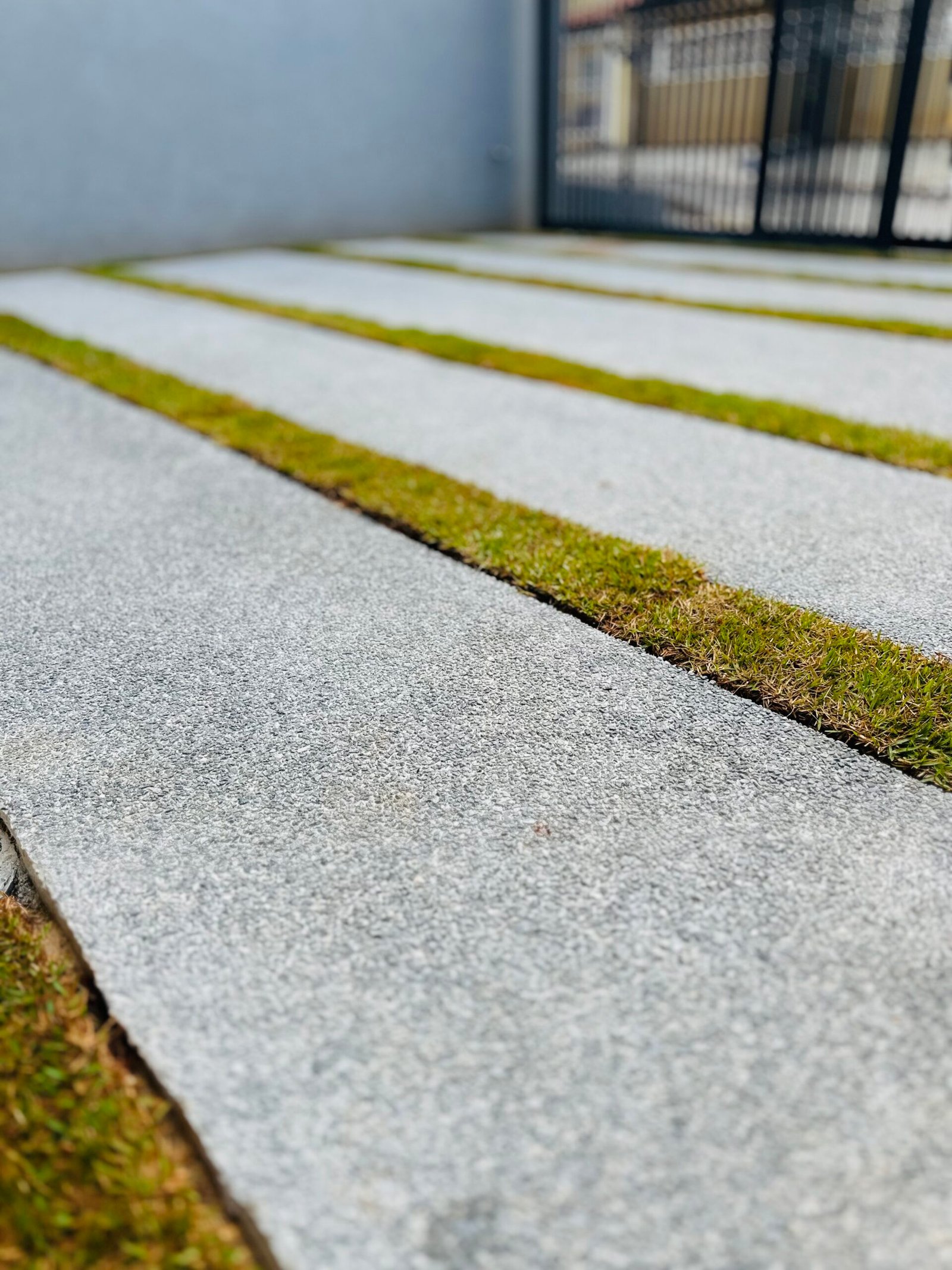 Piso Fulget(1)