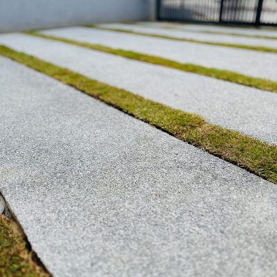 Piso Fulget(1)